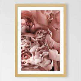 Blush Art Print