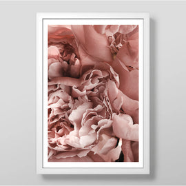 Blush Art Print