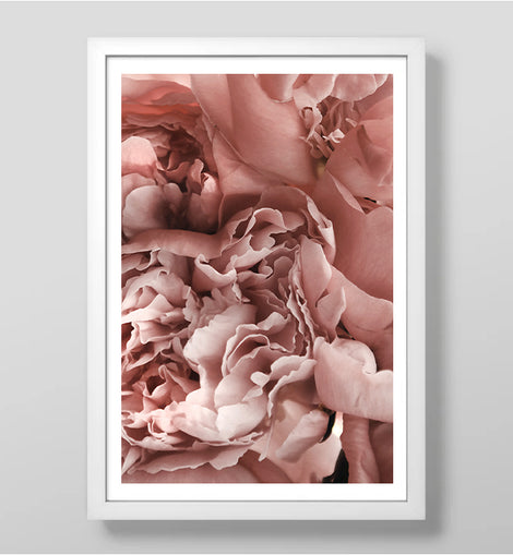 Blush Art Print