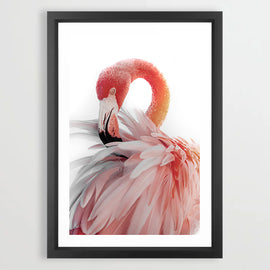 Soft Flamingo Art Print