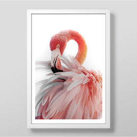 Soft Flamingo Art Print