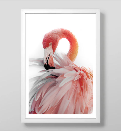 Soft Flamingo Art Print