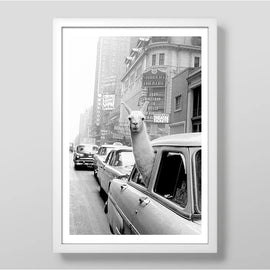 Llama in the City Art Print