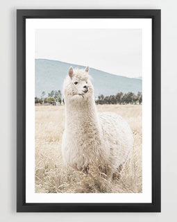 Llama Llama Art Print