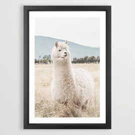 Llama Llama Art Print