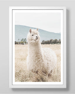 Llama Llama Art Print