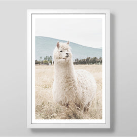 Llama Llama Art Print