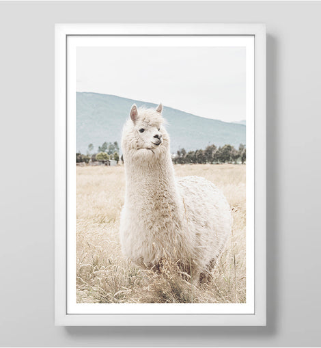 Llama Llama Art Print