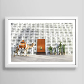 Palm Springs Camel Art Print