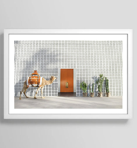 Palm Springs Camel Art Print