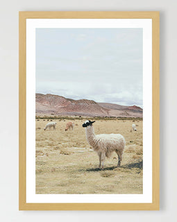 Pastures Art Print