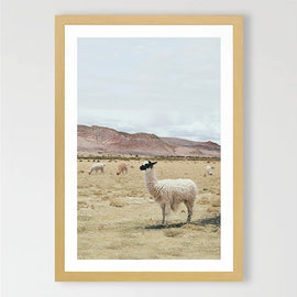 Pastures Art Print