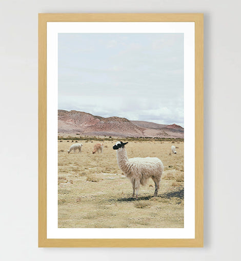 Pastures Art Print