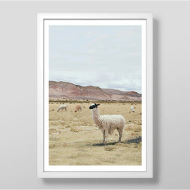 Pastures Art Print