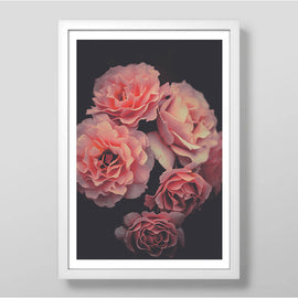 Peony Bunch Art Print