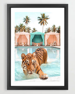 Tiger Pool Art Print