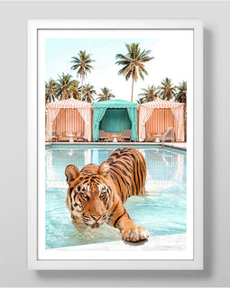 Tiger Pool Art Print